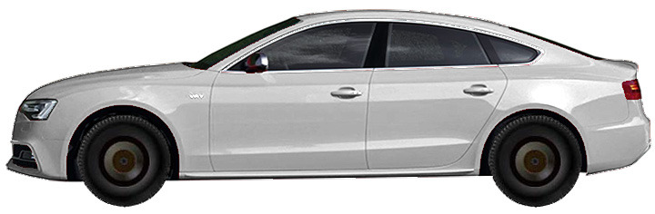 ���� AUDI S5 В8, B81 Sportback 3.0 TFSI Quattro (2011-2016)