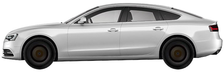 ���� AUDI A5 B8, B81 Sportback 2.0 TDI (2011-2016)