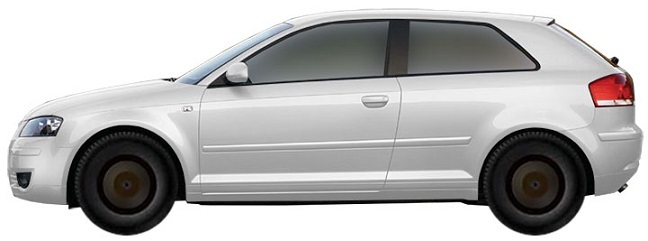 ���� AUDI A3 8P Hatchback 3d 1.9 TDI (2003-2008)