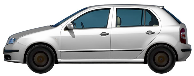 ���� SKODA Fabia 6Y Hatchback 2.0 (2004-2007)
