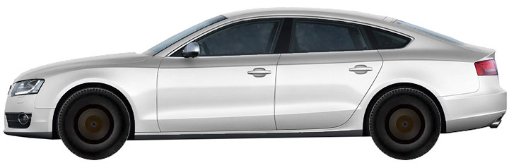 ���� AUDI A5 B8, B81 Sportback 1.8 TFSI (2009-2011)
