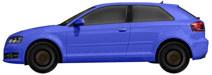 ���� AUDI A3 8P Hatchback 3d 1.6 Flexible fuel (2008-2012)