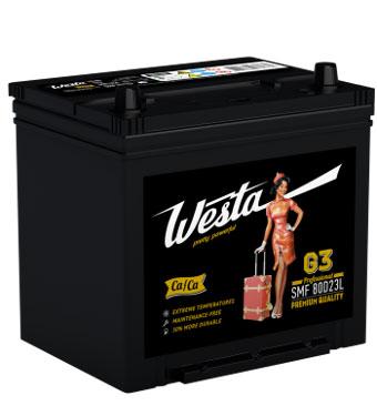 ���� ������������ Westa G3