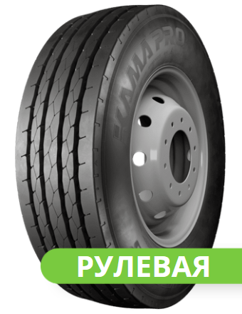 ���� ���� ���� NF-203