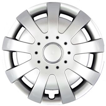 ���� ����� ������ ������ SKS 309