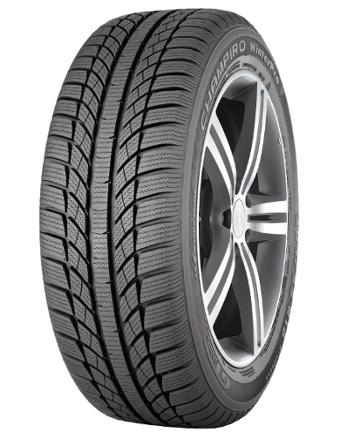 ���� ���� GT Radial Champiro WinterPro