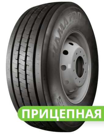 ���� ���� ���� NT-203