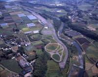 miyazaki