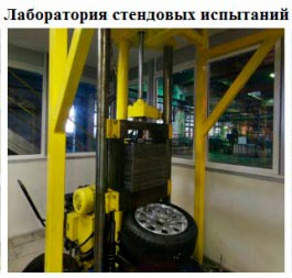 lbrzgynh2.jpg