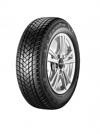 ���� ���� GT Radial WinterPro 2